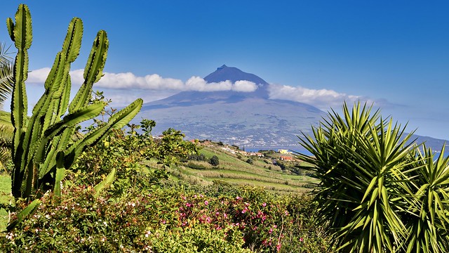 Sonderreise auf die Azoren. Vulkan Pico, 2351 m, auf Pico Island.