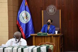 Sitting of the House of Representatives