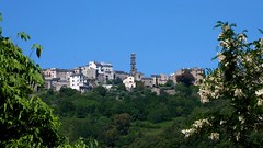20220511_101254Em_Castellare-di-Casinca - Photo of Borgo