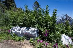 Graffiti, Santa Cruz Mountains Style