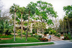 House with Palm Trees, Highland Park, 2004