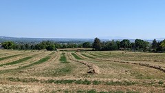 landscapes of farming