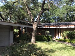 San Antonio mid-century modern