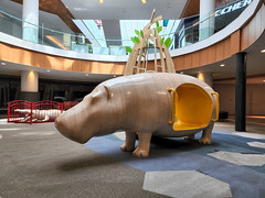Hippo In The Mall