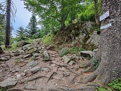 Aufstieg zum Col de Schaeferthal - Photo of Soultzmatt