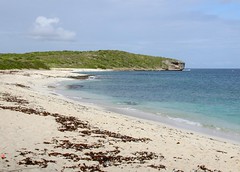 Guadeloupe.