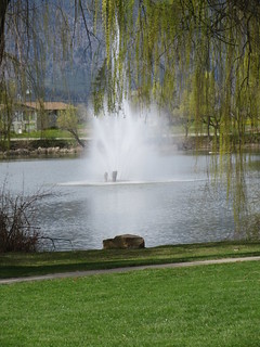 Photogenic Fountain