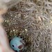 鳥巢-褐頭鷦鶯 110_0711 我們的田