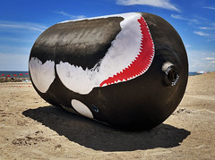 Beached Orca Buoy