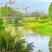 Punggol Waterway Park