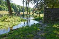 6309 La Fontaine Ste-Catherine, près de Lyons-la-Forêt (Eure) - Photo of Lilly