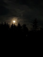 Night of big Moon