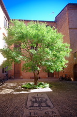 Tree - Photo of Bellegarde