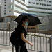 Umbrella, Sun, Asian
