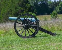 Cannon on Matthews Hill  (DS0114)