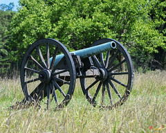 Cannon on Matthews Hill  (DS0113)