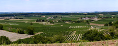 Bouteville [Grande Champagne] (Charente) - Photo of Mosnac