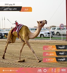 مهرجان ولي العهد بالسعودية (ميدان الطائف) صباح 30-7-2022