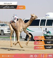 منافسات الحقايق المفتوحة بمهرجان ولي العهد بالسعودية (ميدان الطائف) مساء 30-7-2022