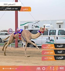 مهرجان ولي العهد بالسعودية (ميدان الطائف) صباح 2-8-2022