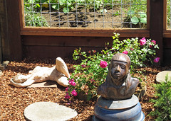 Sculptures and roses in a corner of the backyard of our San Francisco home 20220419-133557
