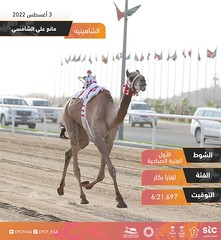 مهرجان ولي العهد بالسعودية (ميدان الطائف) صباح 3-8-2022