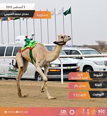 مهرجان ولي العهد بالسعودية (ميدان الطائف) صباح 5-8-2022