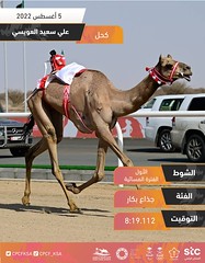 مهرجان ولي العهد بالسعودية (ميدان الطائف) مساء 5-8-2022