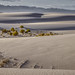 White Sands Dunes © Frank Zurey - 1st place Scenics