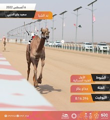 مهرجان ولي العهد بالسعودية (ميدان الطائف) مساء 6-8-2022