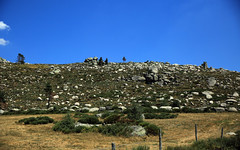 Les têtes de granit du Mont-Lozère.
