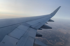 A321 Wing