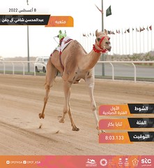 مهرجان ولي العهد بالسعودية (ميدان الطائف) صباح 8-8-2022