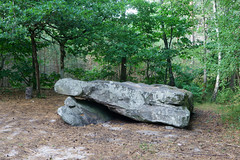 6324 Le dolmen de la Pierre Ardoue (Saint-Léger-en-Yvelines) - Photo of Bourdonné
