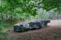 6327 Le dolmen de la Pierre Ardoue (Saint-Léger-en-Yvelines) - Photo of Dannemarie
