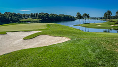 Hole #10 Green and Hole #11 in background at Robert Trent Jones Golf Club on Lake Manassas - Gainesville VA
