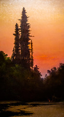 Twilight Scene with Stream and Redwood Trees