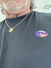 I voted !
