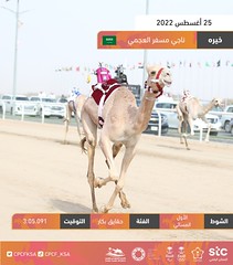 منافسات الحقايق العامة بمهرجان ولي العهد بالسعودية (ميدان الطائف) مساء 25-8-2022