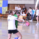 2012_GIRLS_CUP_20_PL_3-4_DJK_SF_BUDENHEIM_-_VELO_HANDBAL 00452
