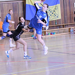 2012_GIRLS_CUP_21_FINALE_NATIONAL_RM_VALCEA_-_HSG_FRAULAUTERN_UEBERHERRN 00478