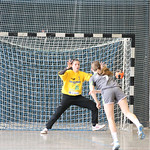 2013_GIRLS_CUP_02_NATIONAL_RM_VALCEA_-_TV_BROMBACH 00057
