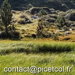 AND - Montmalus - Pic Colells - Serra Seca - Pic Menera 20220828 - 011 - https://www.flickr.com/people/79110332@N05/