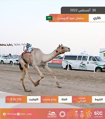 منافسات الجذاع العامة بمهرجان ولي العهد بالسعودية (ميدان الطائف) مساء 30-8-2022 