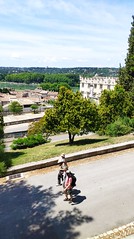 jardin du rocher des Doms (AVIGNON,FR84) - Photo of Avignon