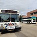 St. Albert and Strathcona buses