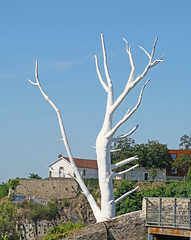 Lunar Tree de Mrzyk & Moriceau  (Le Voyage à Nantes 2022) - Photo of Saint-Jean-de-Boiseau