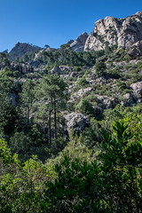 Cascades de Polischellu