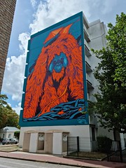 Orangutan Mural - Photo of Calais