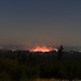 Wildfire in Milo McIver State Park, as seen from our Deck    MG 3287